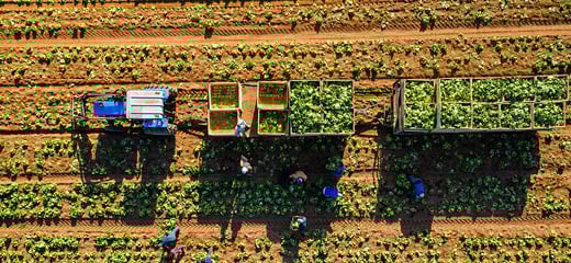 Unlocking intra-African trade potential